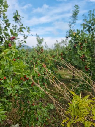 유재현님의 자유주제 · 자유게시판 작성글 사진