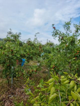 유재현님의 자유주제 · 자유게시판 작성글 사진