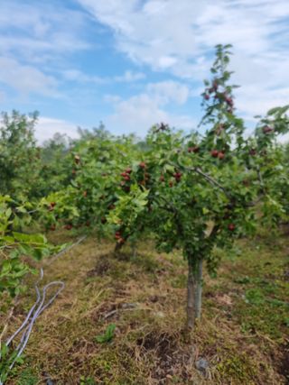 유재현님의 자유주제 · 자유게시판 작성글 사진