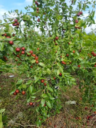 유재현님의 자유주제 · 자유게시판 작성글 사진
