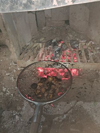 월이님의 자유주제 · 자유게시판 작성글 사진