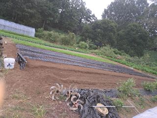 월이님의 자유주제 · 자유게시판 작성글 사진