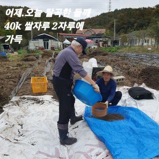 시민농장님의 들깨 · 영농일지 작성글 사진