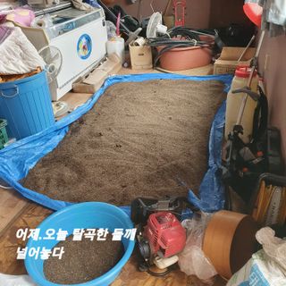 시민농장님의 들깨 · 영농일지 작성글 사진