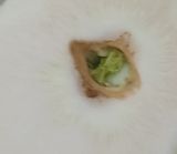 팜모닝 자유주제·자유게시판 게시글 이미지