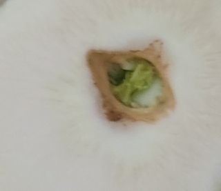 박영준님의 자유주제 · 자유게시판 작성글 사진