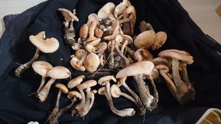 김해주님의 자유주제 · 자유게시판 작성글 사진