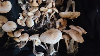 김해주님의 자유주제 · 자유게시판 작성글 사진