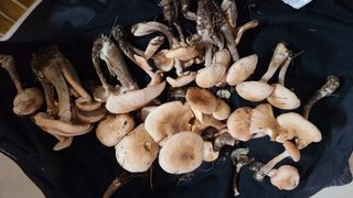 김해주님의 자유주제 · 자유게시판 작성글 사진