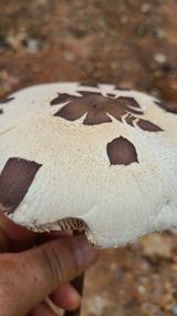 팜모닝 자유주제·자유게시판 게시글 이미지