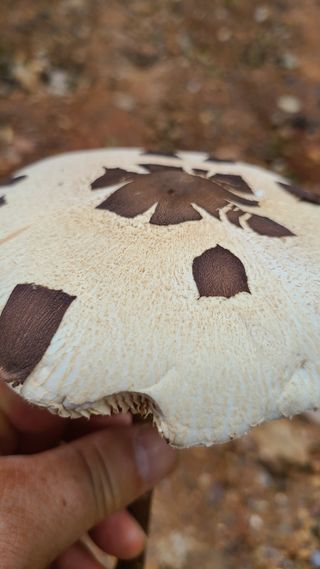 김해주님의 자유주제 · 자유게시판 작성글 사진