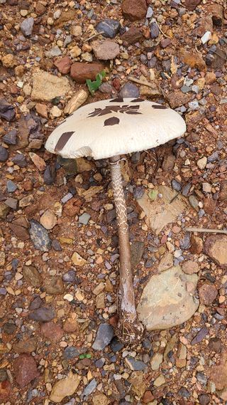 김해주님의 자유주제 · 자유게시판 작성글 사진