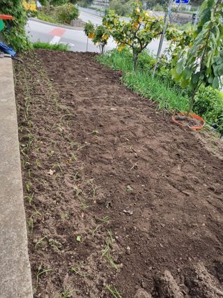 김용대님의 자유주제 · 자유게시판 작성글 사진