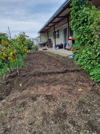 김용대님의 자유주제 · 자유게시판 작성글 사진