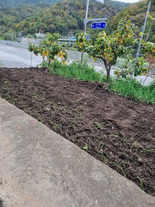 김용대님의 자유주제 · 자유게시판 작성글 사진