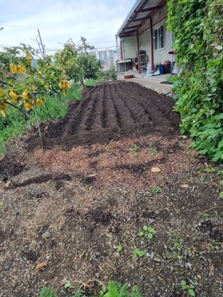 김용대님의 자유주제 · 자유게시판 작성글 사진