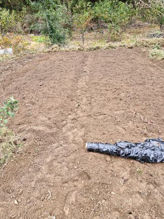 낙엽교목류21691님의 자유주제 · 자유게시판 작성글 사진