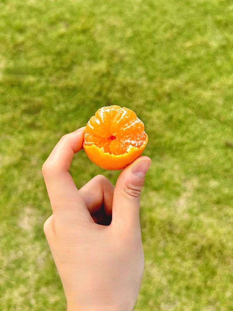 장터 상품 [작을수록 찐한 꼬마귤] 썸네일