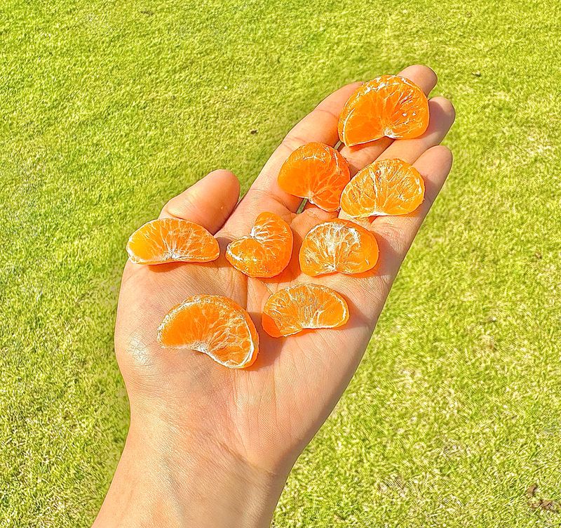 농부손녀님의 장터 판매 상품 [작을수록 찐한 꼬마귤] 첨부 사진