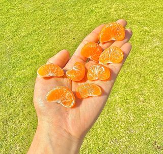 농부손녀님의 작성글 사진