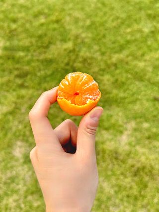 농부손녀님의 작성글 사진