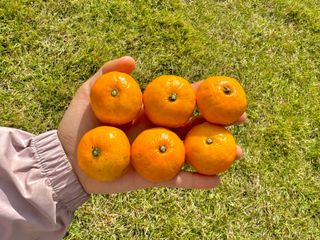 농부손녀님의 작성글 사진