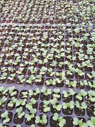 산이뜰(김정우)님의 팜모닝 · 출석 작성글 사진