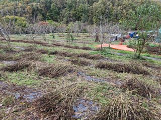 정석구님의 자유주제 · 자유게시판 작성글 사진