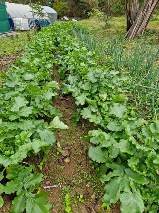 정석구님의 자유주제 · 자유게시판 작성글 사진