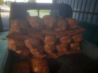 가나안농장님의 자유주제 · 자유게시판 작성글 사진