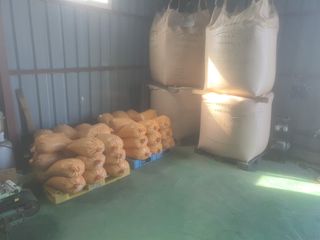 가나안농장님의 자유주제 · 자유게시판 작성글 사진