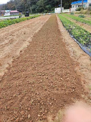 osm님의 자유주제 · 자유게시판 작성글 사진