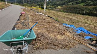 과학농님의 콩 · 영농일지 작성글 사진