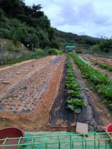 권찬훈님의 작성글 사진