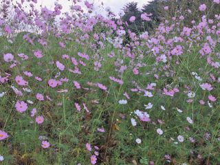 장지영님의 자유주제 · 자유게시판 작성글 사진