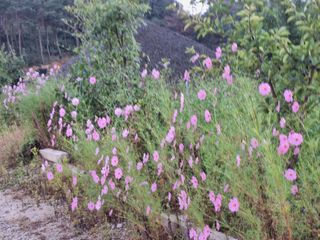 장지영님의 자유주제 · 자유게시판 작성글 사진