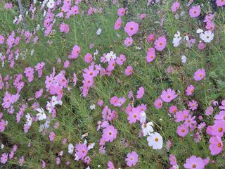 장지영님의 자유주제 · 자유게시판 작성글 사진