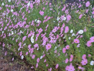 장지영님의 자유주제 · 자유게시판 작성글 사진