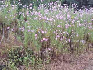장지영님의 자유주제 · 자유게시판 작성글 사진