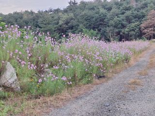 장지영님의 자유주제 · 자유게시판 작성글 사진