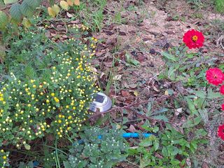 장지영님의 자유주제 · 자유게시판 작성글 사진