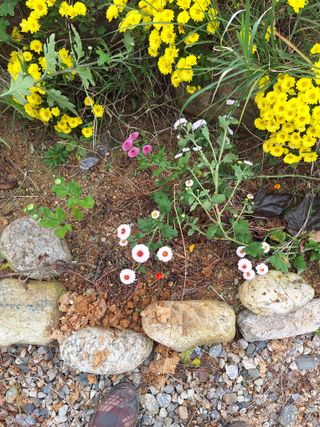 장지영님의 자유주제 · 자유게시판 작성글 사진