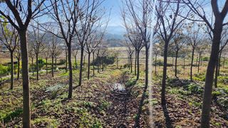 정진우님의 기타작물 · 영농일지 작성글 사진