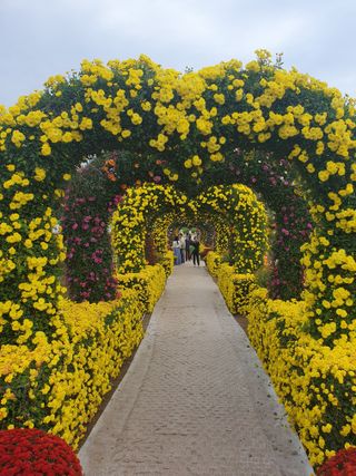 작은소나무님의 자유주제 · 자유게시판 작성글 사진