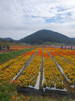 작은소나무님의 자유주제 · 자유게시판 작성글 사진