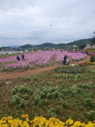 작은소나무님의 자유주제 · 자유게시판 작성글 사진