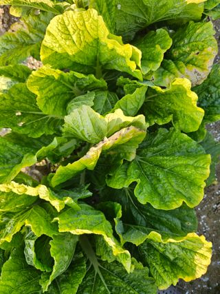 전복수님의 작성글 사진