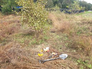 박석중님의 감 · 영농일지 작성글 사진