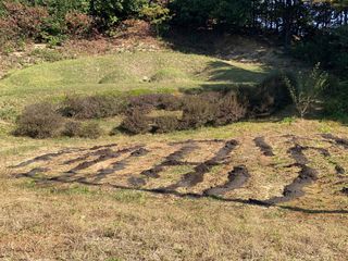 김유찬님의 들깨 · 영농일지 작성글 사진