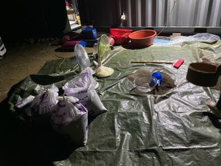 김유찬님의 들깨 · 영농일지 작성글 사진